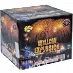 Willow Explosion