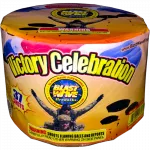 Victory Celebration - Multi Shot Parachute