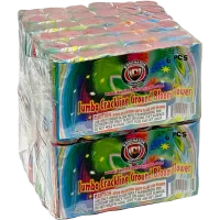 Jumbo Crackling Ground Bloom Flower