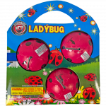 Ladybug