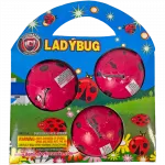 Ladybug