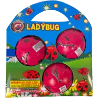 Ladybug