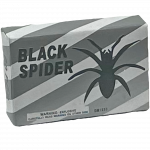 Black Spider (Single)
