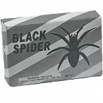 Black Spider (Single)