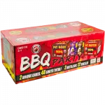 BBQ Party