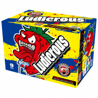 Ludicrous - 500 Gram Firework