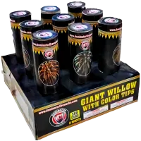 Giant Willow With Color Tips