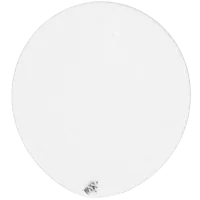 L.E.D. Balloons - 5 Pack White