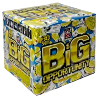 Big Opportunity
