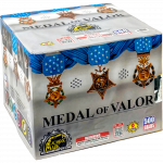 Medal Of Valor