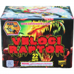 Velociraptor - 500 Gram Firework