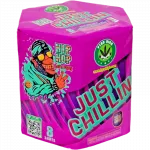 Just Chillin