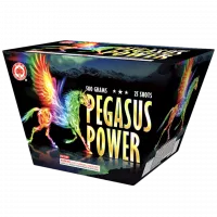 Pegasus Power - 500 Gram Firework