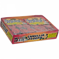 Shogun Camellia Flower - Box of 72