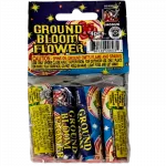 Ground Bloom Flower - 4 Pack