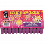 Shogun Crackling Ground Bloom