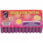 Shogun Crackling Ground Bloom