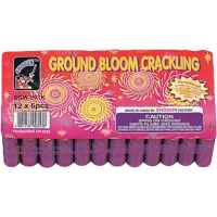 Shogun Crackling Ground Bloom
