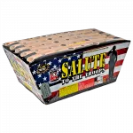 Salute To The Troops